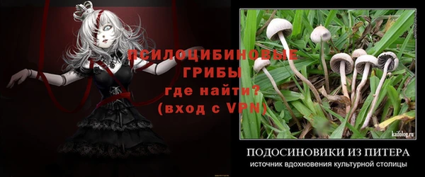 a pvp Балабаново